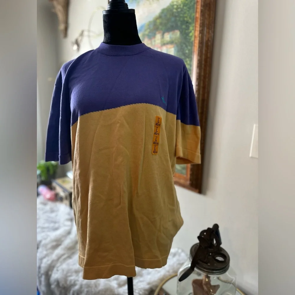 Zara Color-Block Blue and Tan Short Sleeve Tee - Picture 1 of 5